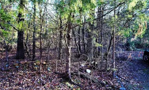 2704 Backbone Rd, Greenwood, AR 72936 photo 13