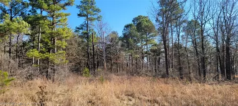 14068 Middle Ridge Rd, Ozark, AR 72949 photo 15