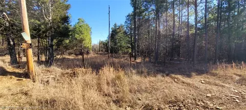 14068 Middle Ridge Rd, Ozark, AR 72949 photo 18