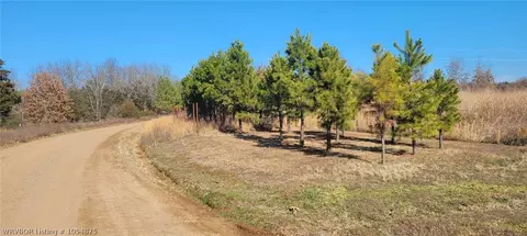 14068 Middle Ridge Rd, Ozark, AR 72949 photo 3