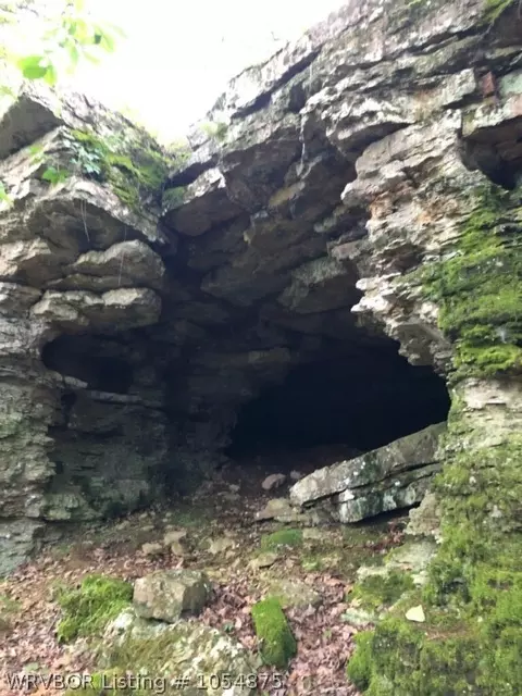 14068 Middle Ridge Rd, Ozark, AR 72949 photo 16