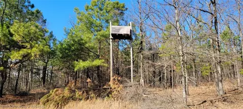 14068 Middle Ridge Rd, Ozark, AR 72949 photo 14