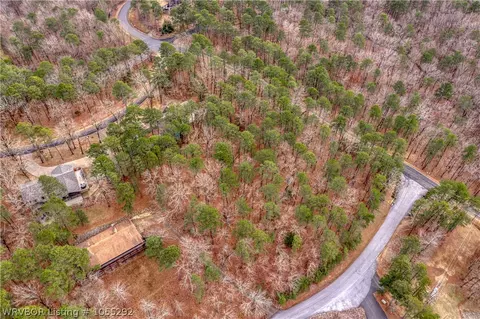 274 Hickory Ridge Rd, Mount Ida, AR 71957 photo 46