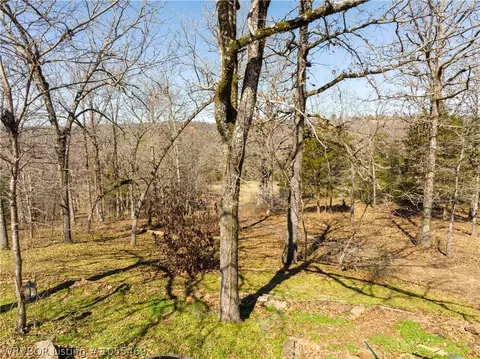 6600 Hamilton Acres Ln, Hackett, AR 72937 photo 29