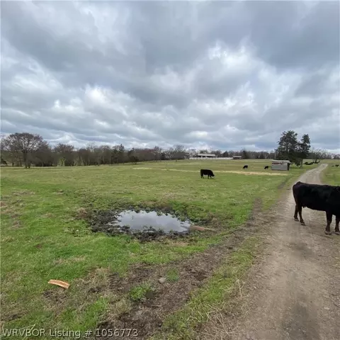 2446 Wire Rd, Ozark, AR 72949 photo 3