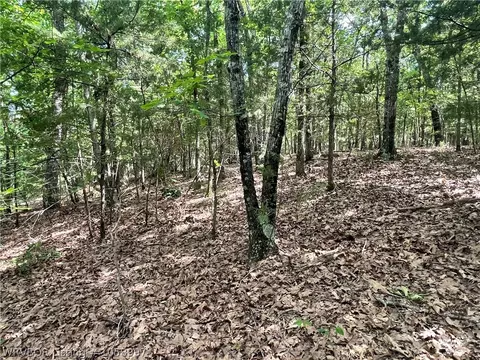9310 Diamondback Ln, Hackett, AR 72937 photo 5