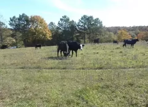 4923 Wire Rd, Ozark, AR 72949 photo 10