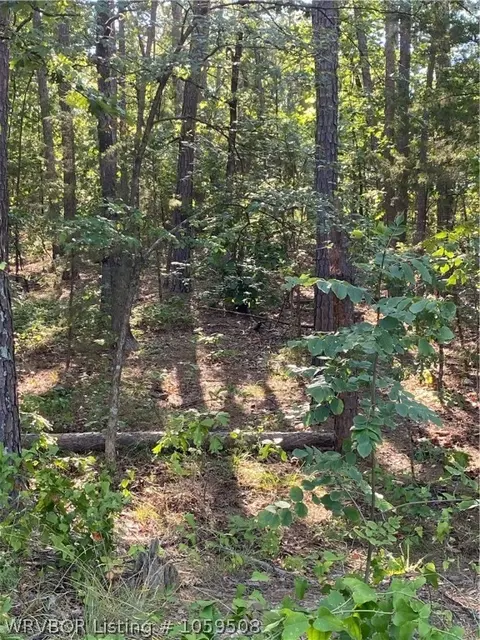 9155 Southshore Dr, Hackett, AR 72937 photo 32
