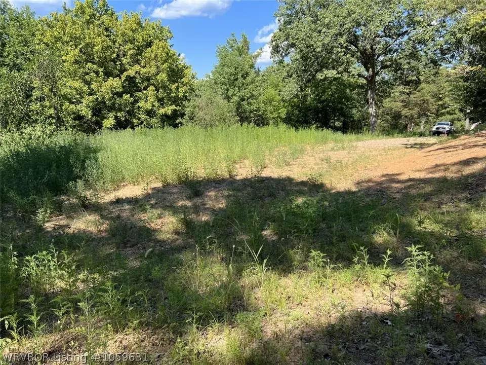  10056 Albright Ln, Havana, AR 72842 photo 3