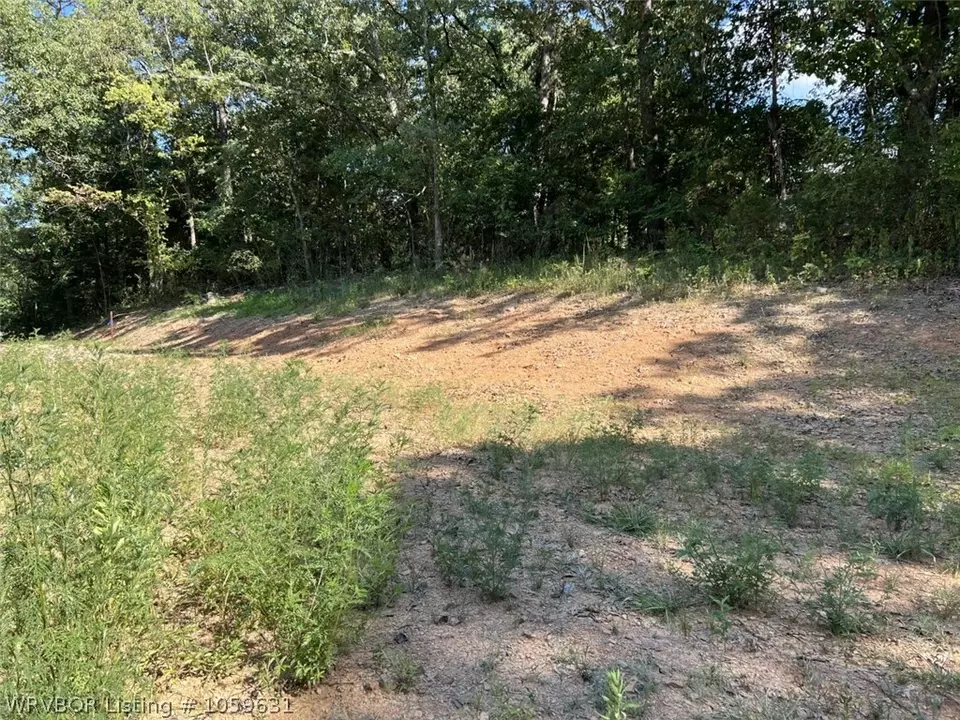  10056 Albright Ln, Havana, AR 72842 photo 6