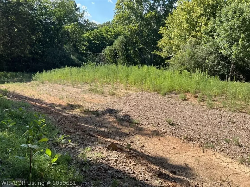  10056 Albright Ln, Havana, AR 72842 photo 5