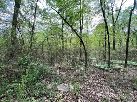tbd S 46th St, Fort Smith, AR 72903