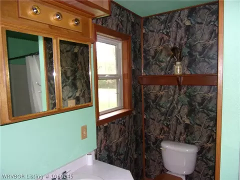 2632 Citadel Bluff Trl, Cecil, AR 72930 photo 16