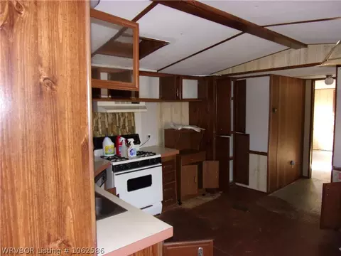 306 Crumpler St, Altus, AR 72821 photo 14
