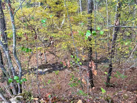 13911 Winds Rd, Ozark, AR 72949 photo 42