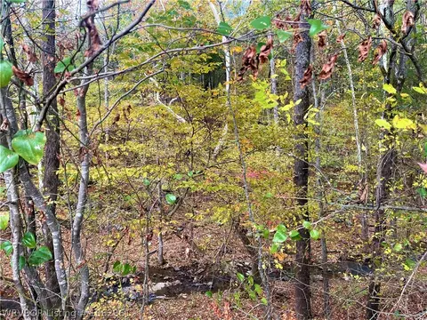 13911 Winds Rd, Ozark, AR 72949 photo 43