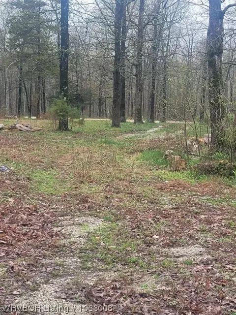 Lot1 Misenheimer Road, Mountain View, AR 72560