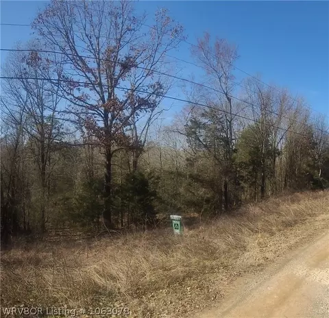 Tbd Off Carbon City Road, Paris, AR 72855