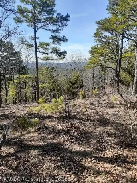 Tbd Rogers Pass, Wister, OK 74966