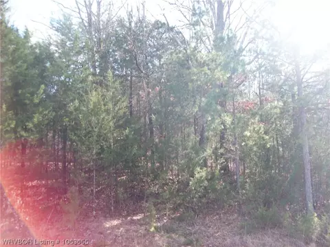 Tbd Puddin Ridge, Ozark, AR 72949 photo 12
