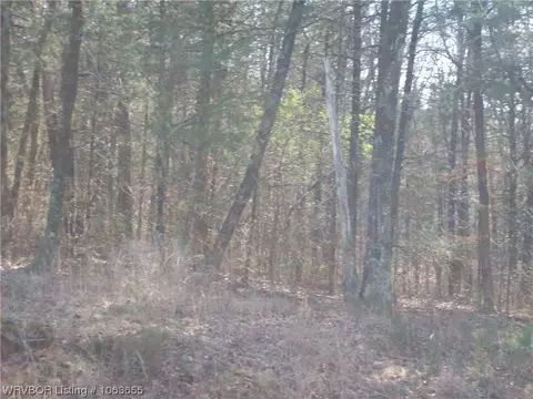 Tbd Puddin Ridge, Ozark, AR 72949 photo 13