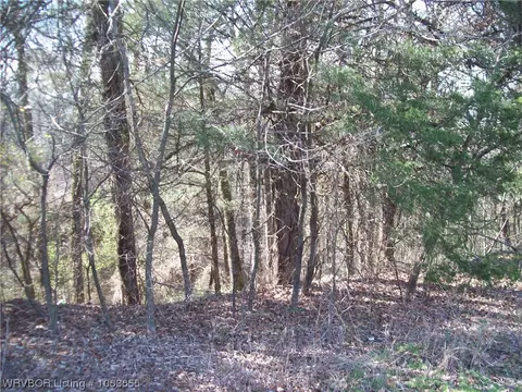 Tbd Puddin Ridge, Ozark, AR 72949 photo 5