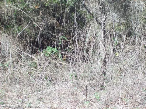 Tbd Puddin Ridge, Ozark, AR 72949 photo 21