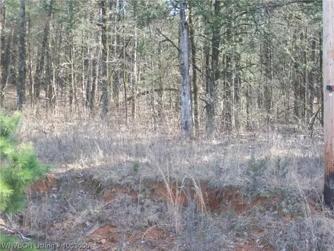 Tbd Puddin Ridge, Ozark, AR 72949 photo 14