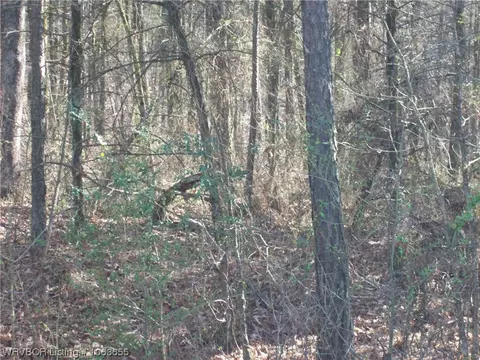 Tbd Puddin Ridge, Ozark, AR 72949 photo 15