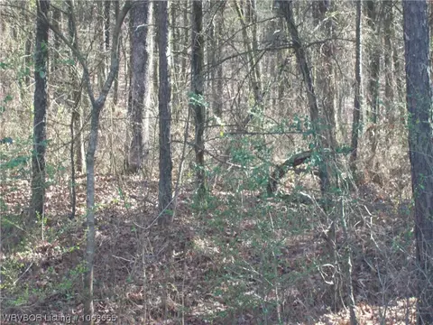 Tbd Puddin Ridge, Ozark, AR 72949 photo 16