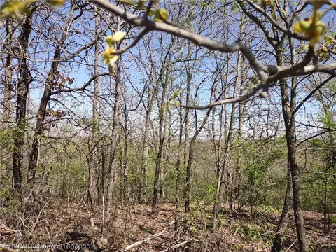 Tbd Mowdy Road, Coalgate, OK 74538