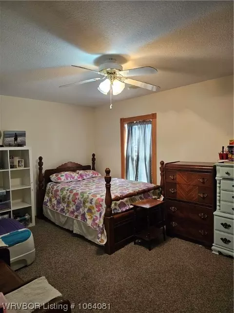 513 Chism St, Paris, AR 72855 photo 38