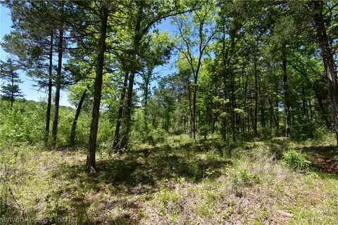 Tbd Mitchell Road, Booneville, AR 72927