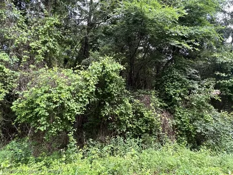 Tbd Horeshoe Loop, Hackett, AR 72937