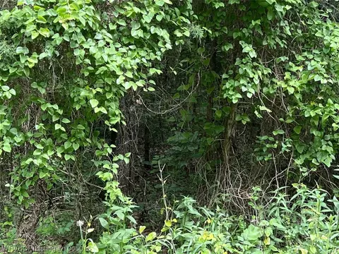 Tbd Horeshoe Loop, Hackett, AR 72937 photo 3