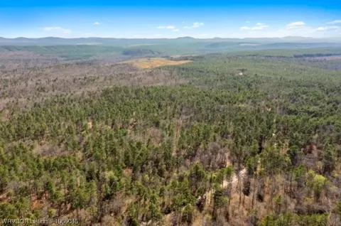 3 Plunketville Road, Watson, OK 74963