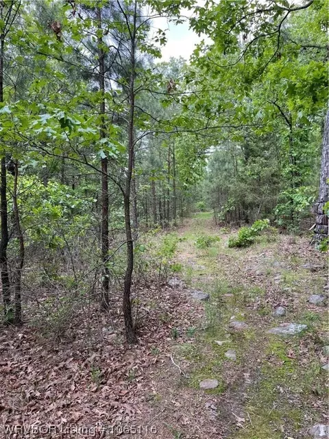 Tbd Rural Pushmataha, Moyers, OK 74557