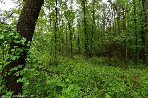 Tbd Bethel Road, Magazine, AR 72943
