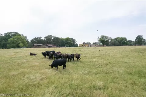 5202 Hwy 252 S, Charleston, AR 72933 photo 43
