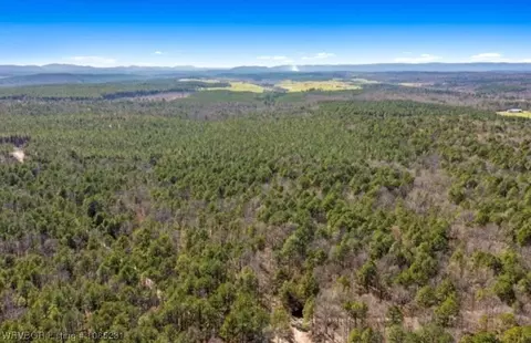 2 Plunketville Road, Watson, OK 74963