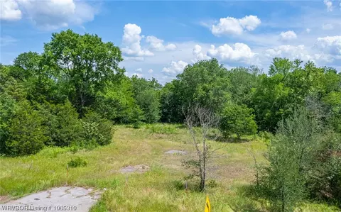 Tbd Highway 96, Lavaca, AR 72941 photo 2