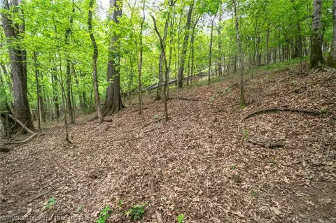 Tbd Core Road, Paris, AR 72855 photo 15