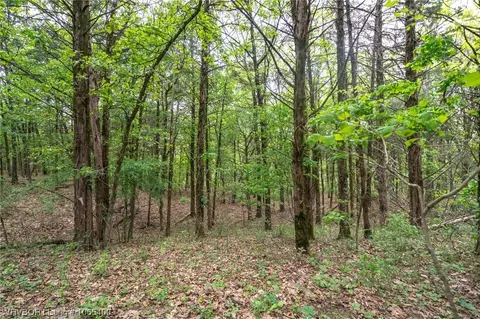 Tbd Core Road, Paris, AR 72855 photo 16