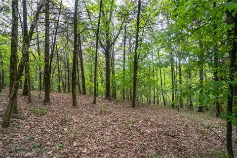 Tbd Core Road, Paris, AR 72855 photo 10