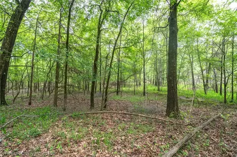 Tbd Core Road, Paris, AR 72855 photo 11
