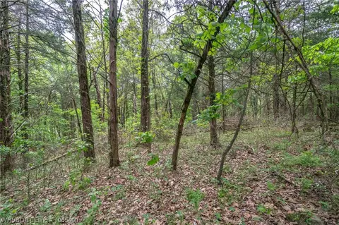 Tbd Core Road, Paris, AR 72855 photo 14