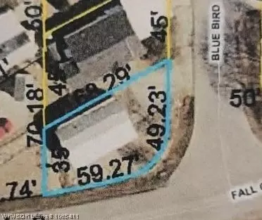 101 Blue Bird Ln, Branson, MO 65616 photo 3