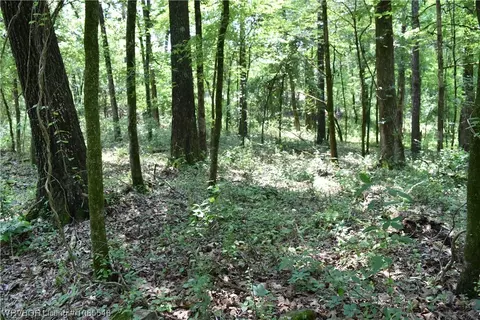 Tbd Lost Beach Road, Van Buren, AR 72956