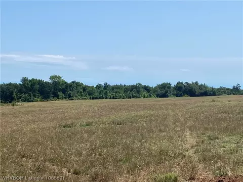 0000 Mathis, Ozark, AR 72949 photo 5