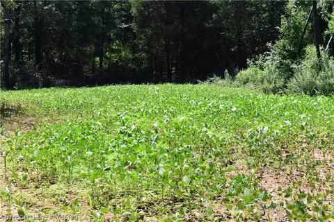 000 County Road 238 Rd, Charleston, AR 72933